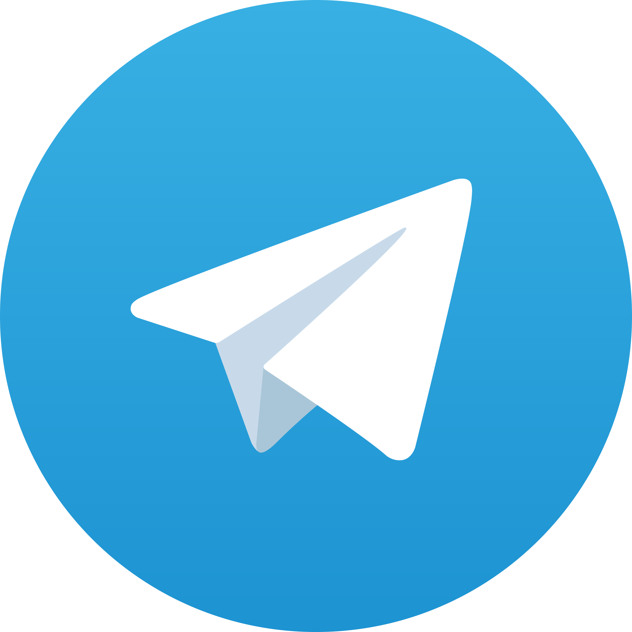 Ícone Telegram